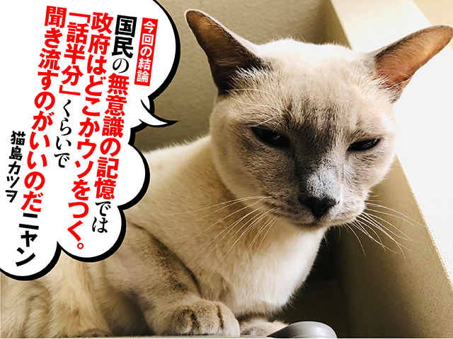 今日はニャンの日 だから国家はウソをつく の系譜 しれっとデタラメの大本営発表 79年前の今日 12月8日は真珠湾攻撃 Best Times ベストタイムズ 今日はニャンの日 だから国家はウソをつく の系譜 しれっとデタラメの大本営発表 79年前の今日 12月8日は真珠湾攻撃 Best Times ベストタイムズ