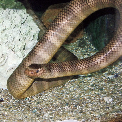 地名ケンミン性の秘密 沖縄は オキ 沖 ナバ 漁場 など海の言葉でいっぱい 47都道府県 地名の謎 Best Times ベストタイムズ 地名ケンミン性の秘密 沖縄は オキ 沖 ナバ 漁場 など海の言葉でいっぱい 47都道府県 地名の謎 Best Times ベストタイムズ