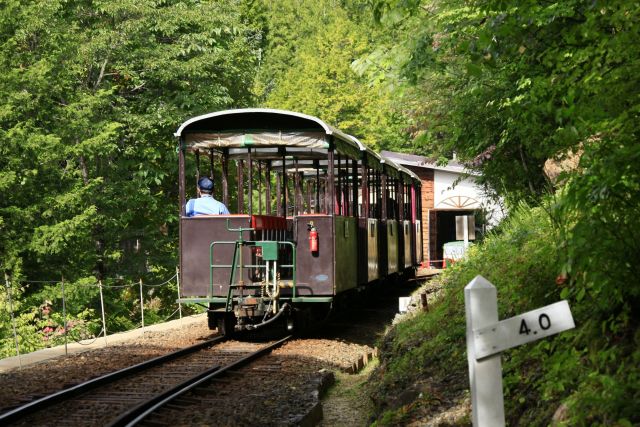 レア中のレア！お金を払っても乗れない鉄道に乗って来た！【女子鉄ひとりたび】37番線