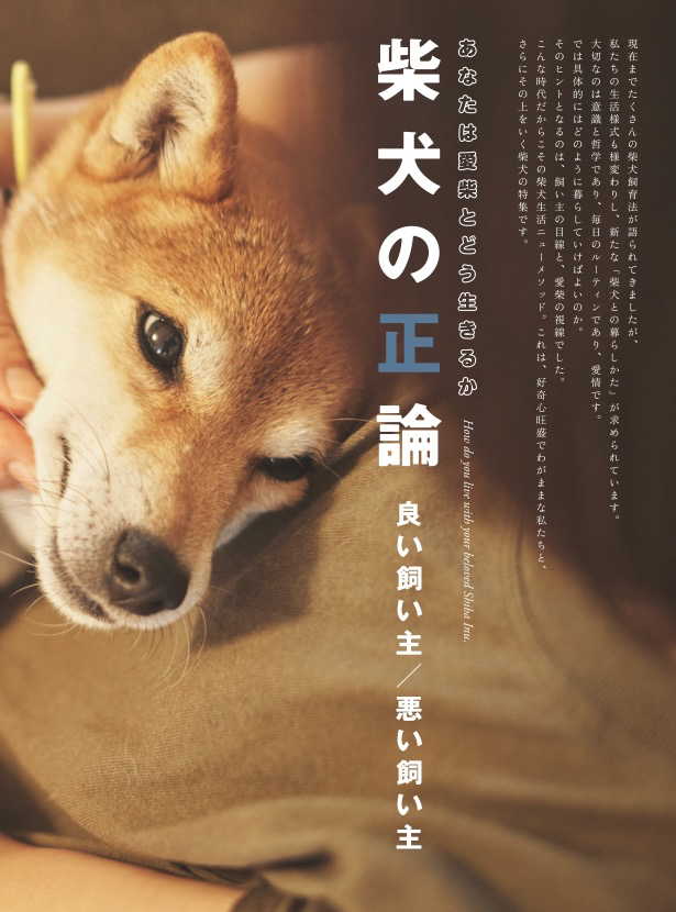 柴犬ライフ 年秋号 歳まで生きる方法 一個人 11月号増刊 Kkベストセラーズ