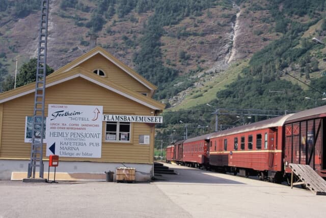 フロム鉄道とフィヨルドクルーズ Best Times ベストタイムズ