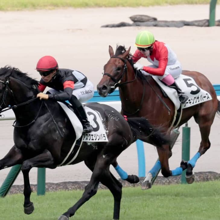 【競馬】小倉1RでJRA史上最低配当が出てしまう。「3連単で220円」のウラ事情