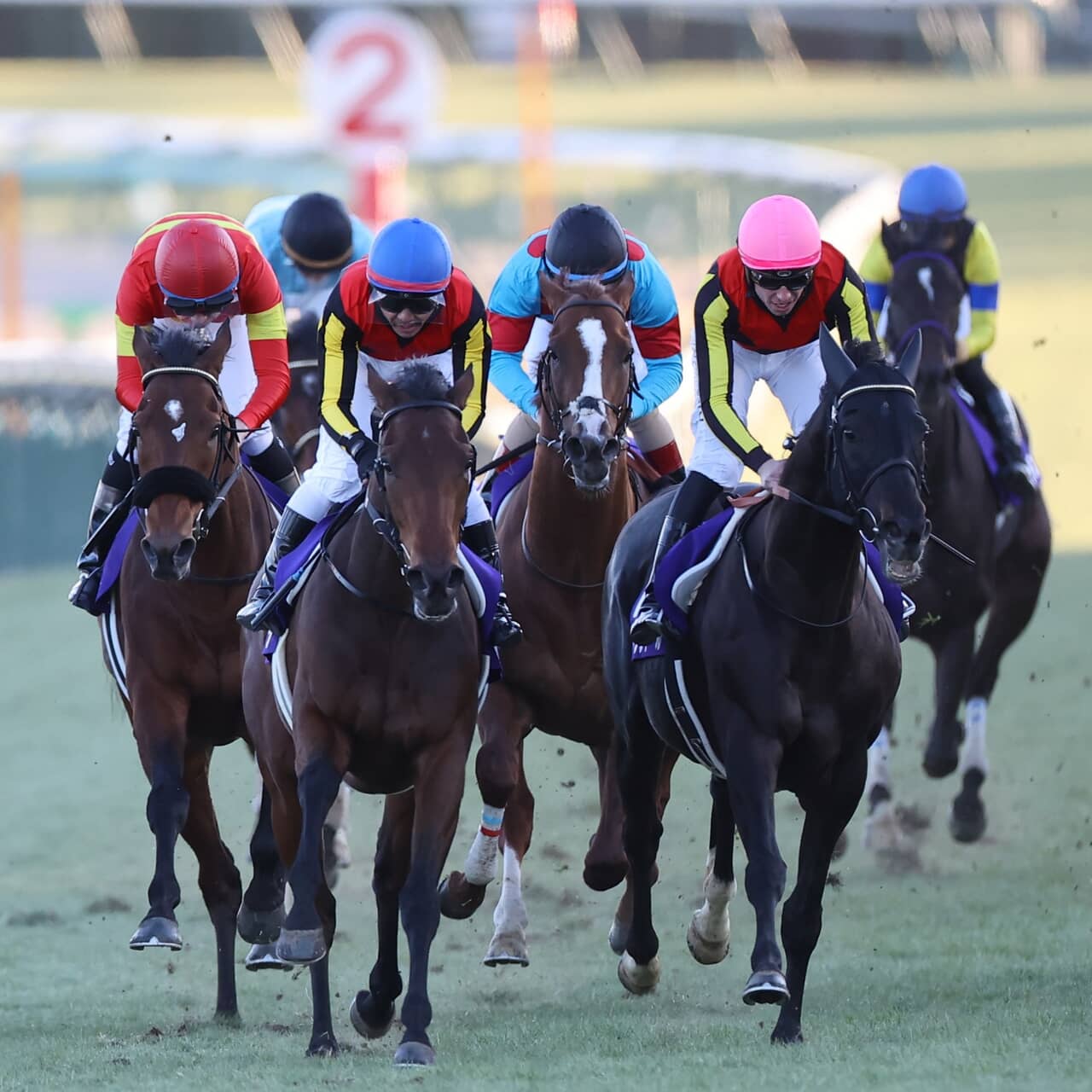 Hey! Say! JUMPと「有馬記念」のコラボ企画スタート！キュートな“馬ダンス”に大注目