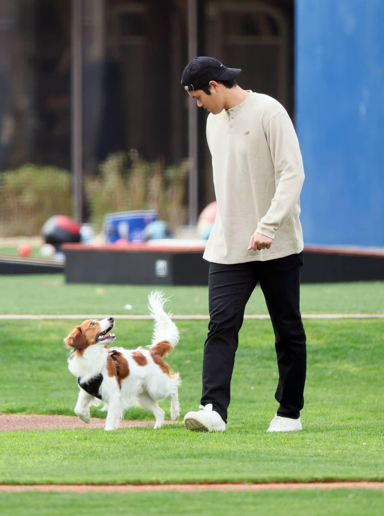 大谷翔平と愛犬デコピン