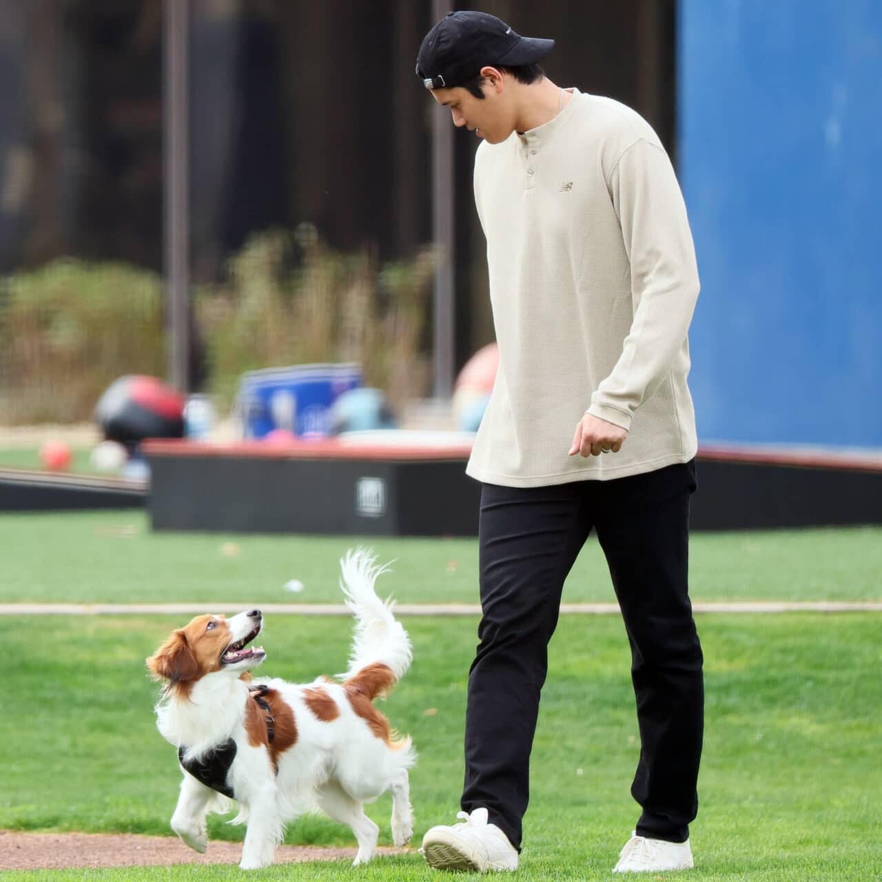 大谷翔平、絵本作家デビュー！デコピンの「とくべつ」な奮闘とは？