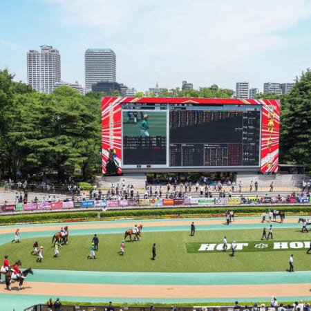 ８月の新潟開催からついに競馬場に歓声が戻る⁉　