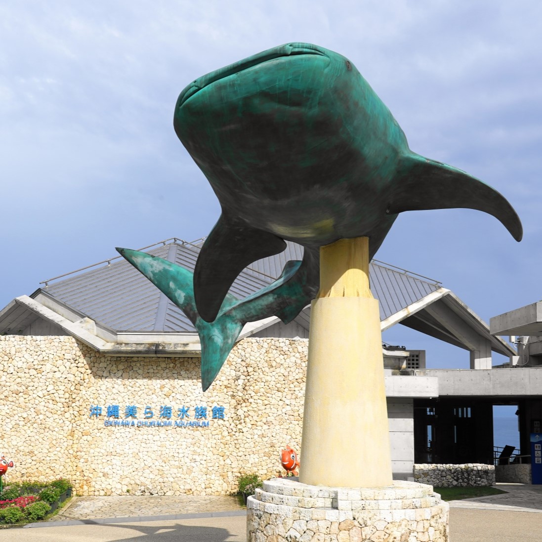 長寿イルカ「オキちゃん」死す！沖縄・海洋博から50年現役、推定52歳