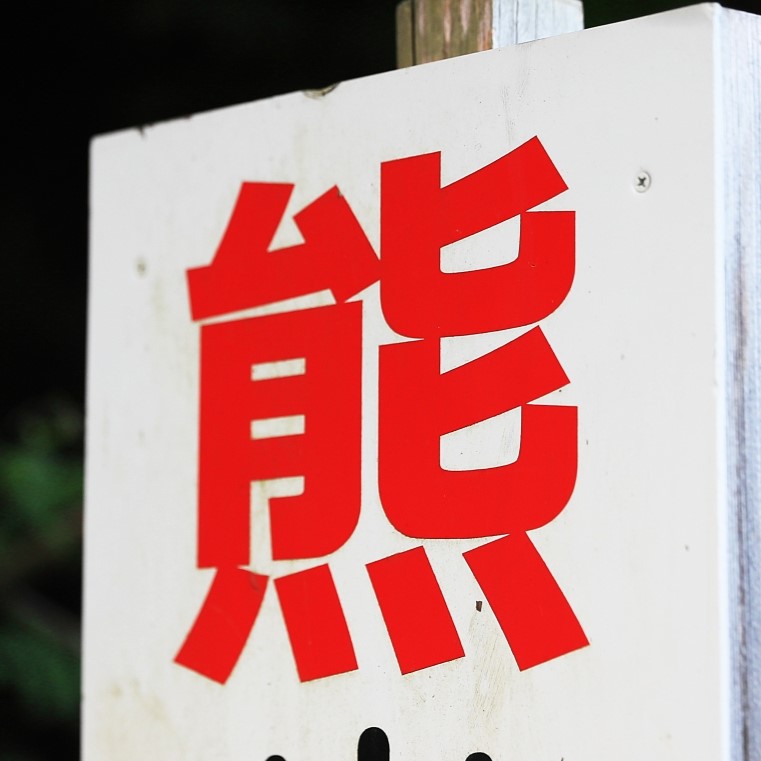 岩手銀行本店地下駐車場にクマ、麻酔で捕獲!