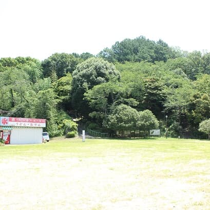 河内の城・河合寺城跡②