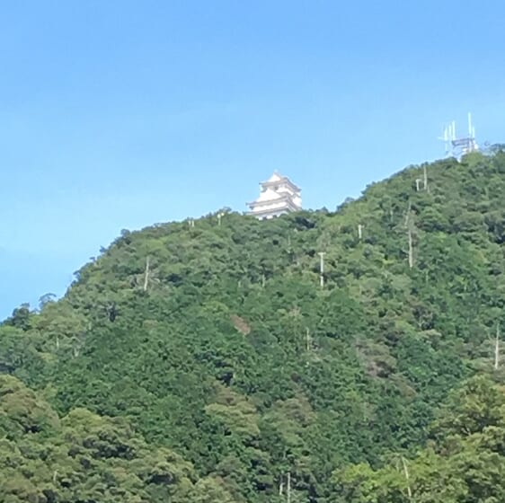 斎藤道三・義龍父子の名分