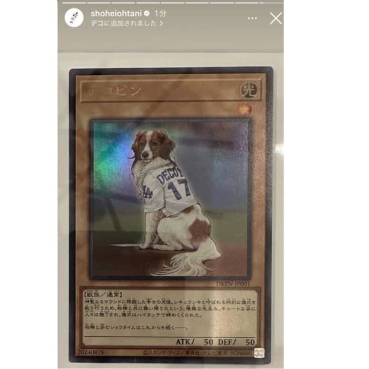 【幸せの天使】デコピン「遊戯王カード化」の衝撃。一体どこで手に入るのか？