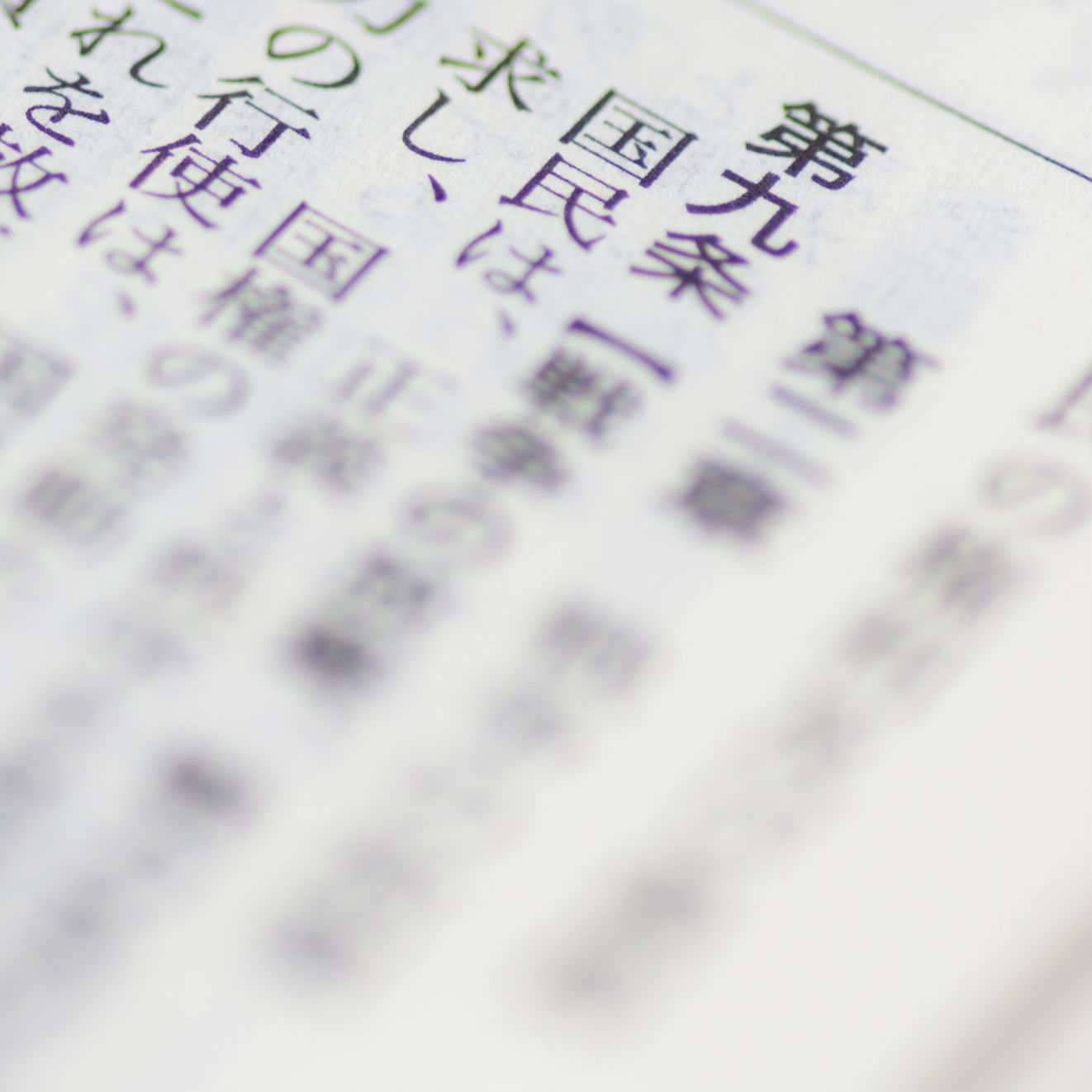 「憲法９条を“守らせる”ぞ！」と言えば改憲派の自民党議員はハッとする