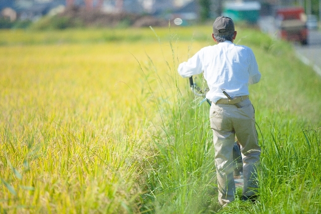 ＴＰＰに反対する理由食料問題は<br />市場経済に馴染まない！