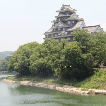 別名「鳥城」で鳥とのツーショットは撮れるか．．．岡山城