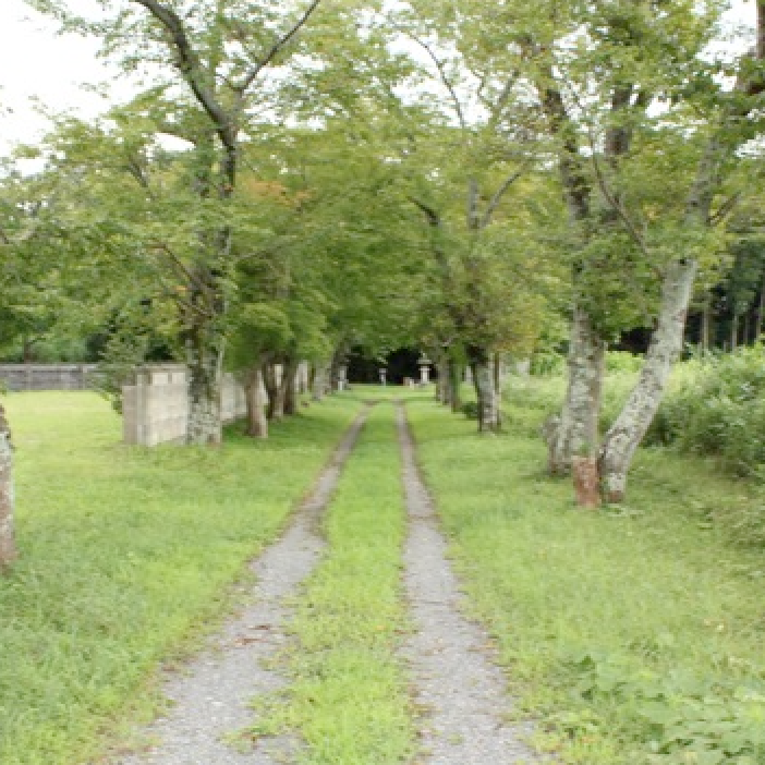 蒲生氏郷のふるさと・日野⑥日野城の壱<br />