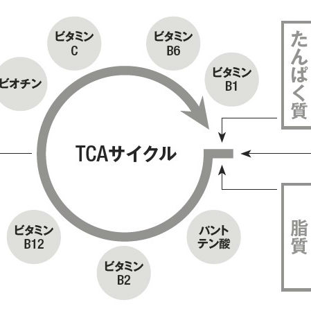 食べてもやせていく「ヘルシースナッキング」のツボ