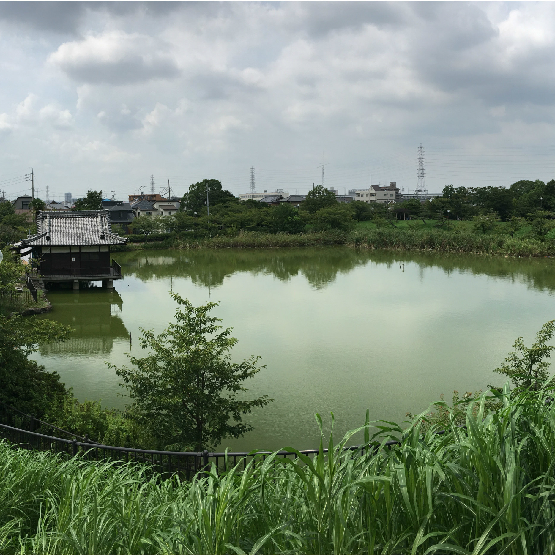 “池の水、ぜんぶ抜け”信長かく命ぜり