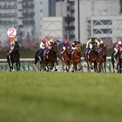 老舗の競馬誌『競馬最強の法則』が休刊したから、最後に毒づいておこう