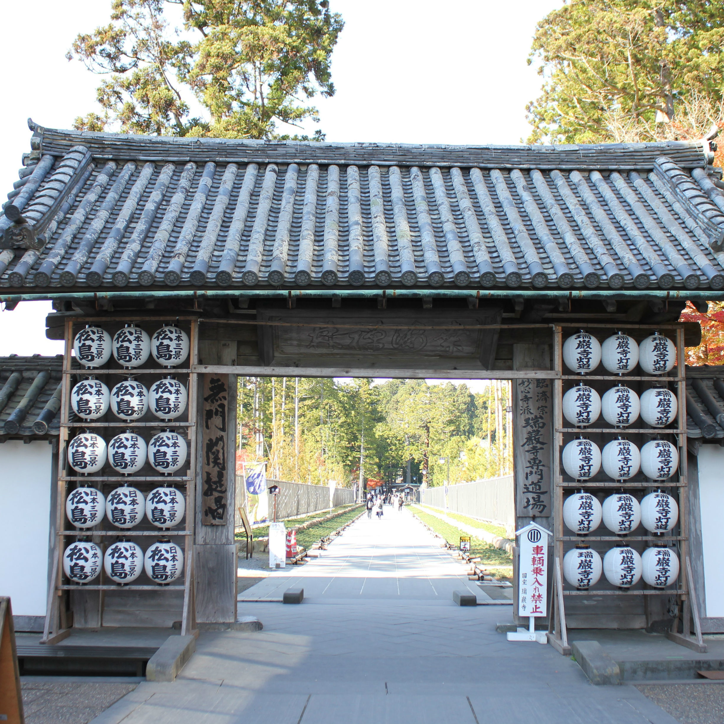 松島の瑞巌寺　津波による塩害で杉並木を失った参道