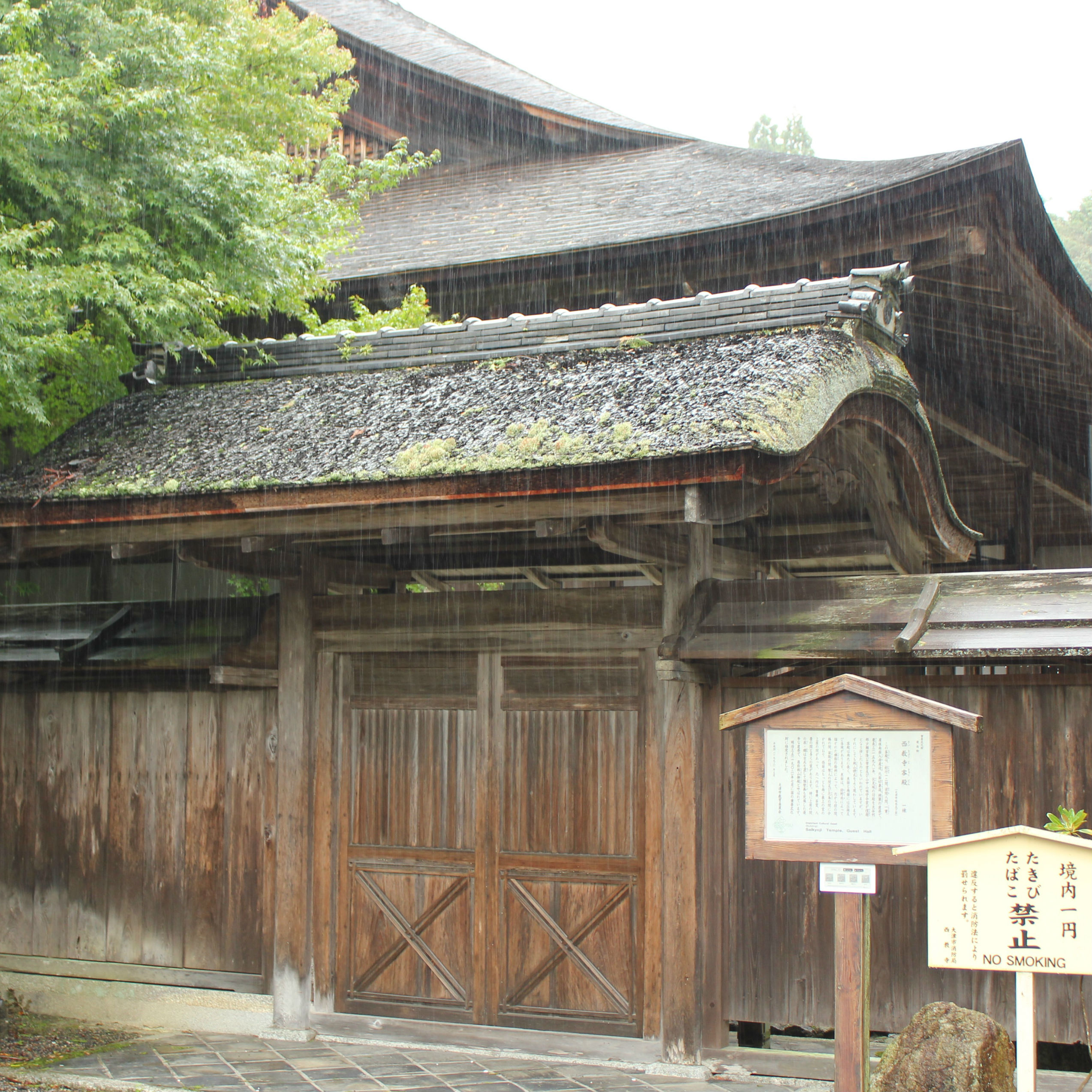 明智光秀の足跡を訪ねて④西教寺さんでお墓参り（その3）