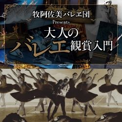 チャイコフスキー３大バレエあでやかな最高傑作たちの饗宴―大人のバレエ鑑賞入門―