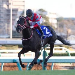 サリオスではなくコントレイルが最優秀２歳牡馬に選ばれたもう一つの理由