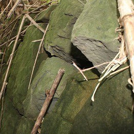 歴史的に貴重な伊王島台場群の現状