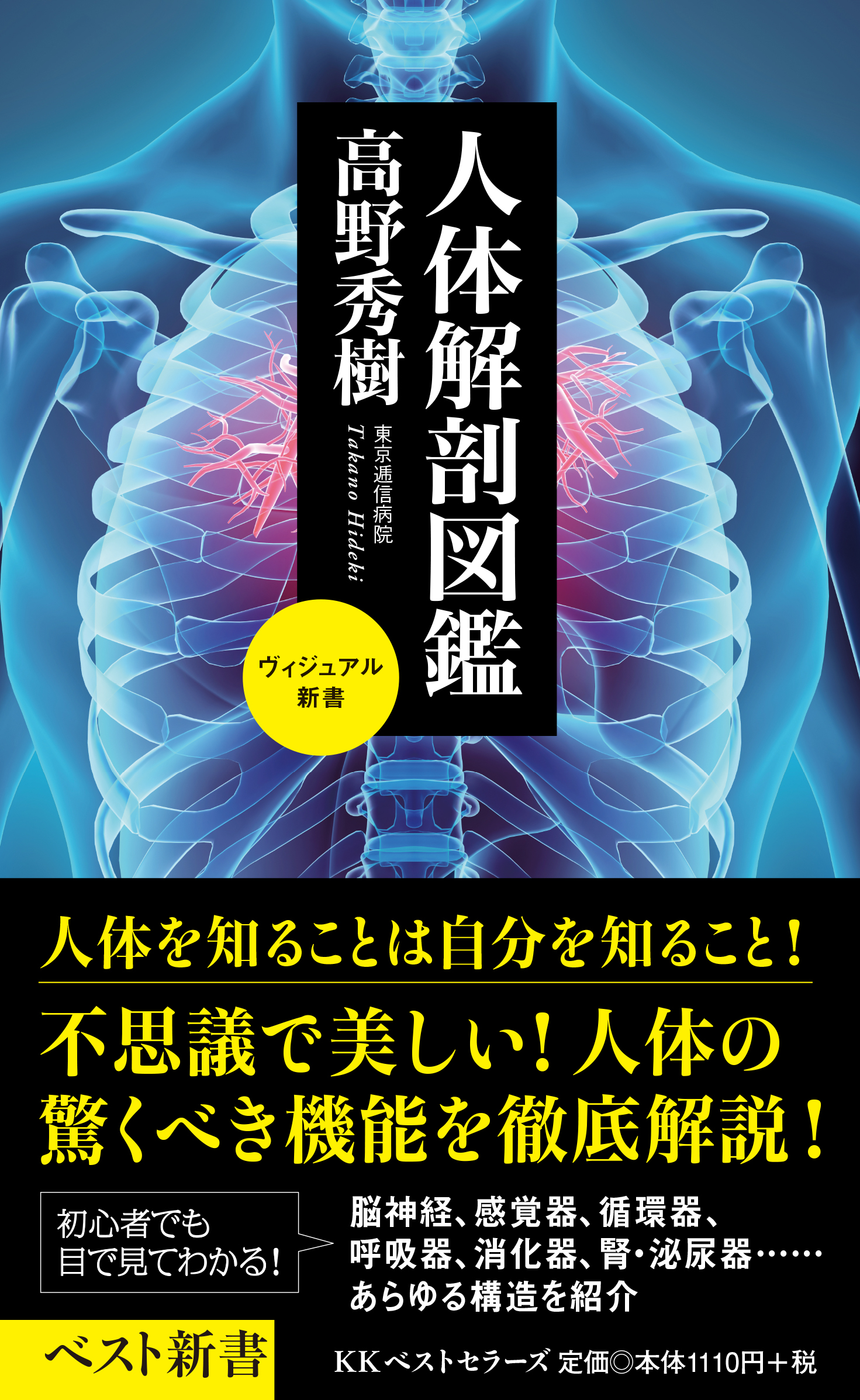 人体は小さな「大宇宙」！ヴィジュアル新書最新刊は『人体解剖図鑑』