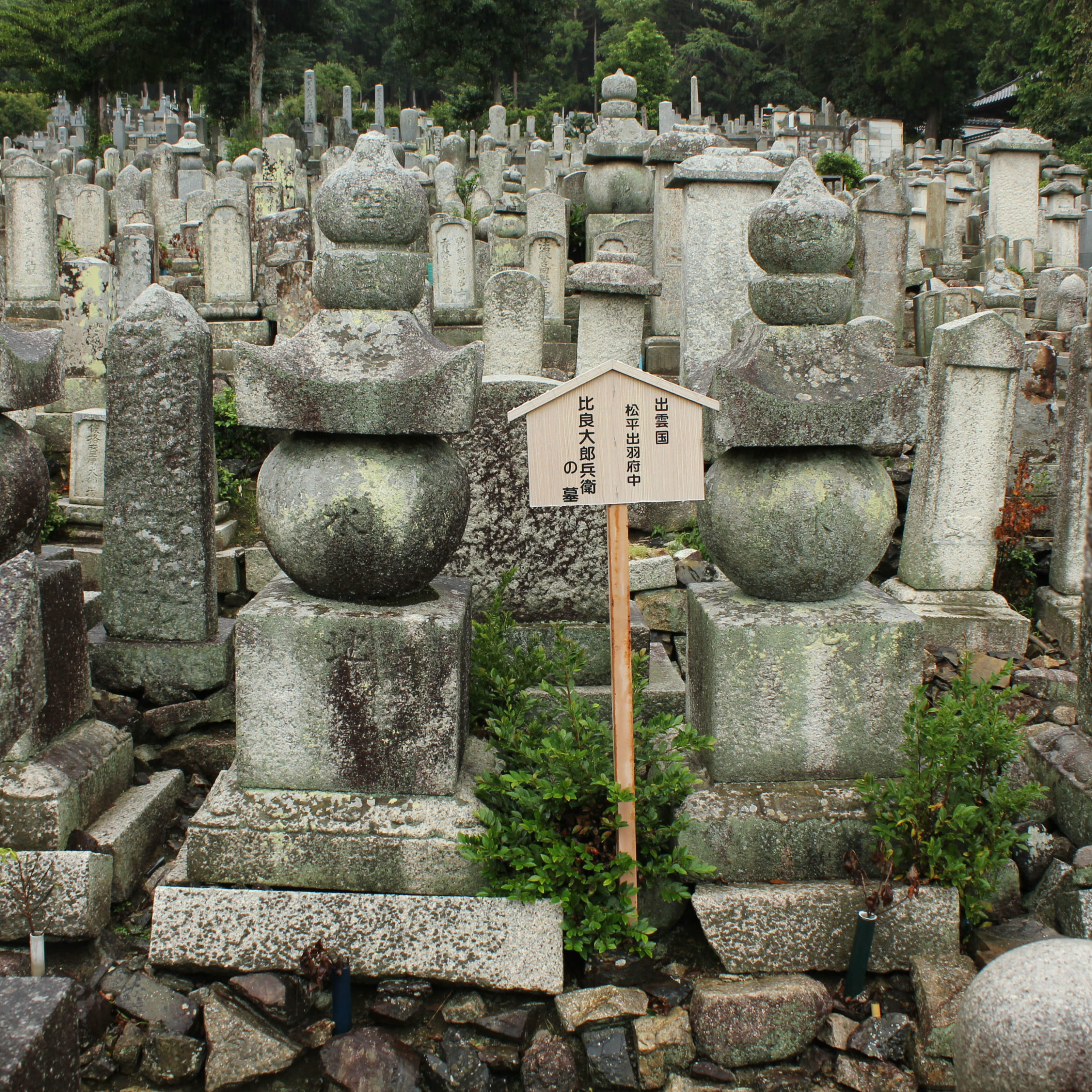 明智光秀の足跡を訪ねて④西教寺さんでお墓参り（その2）