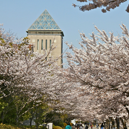 地方で生き残る大学と消える大学、その見極め方