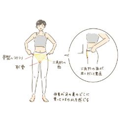 最強の若返り美人化ホルモンと、自分の骨盤の正しい傾きを知る