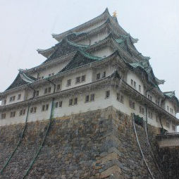 雪降る名古屋城を撮影