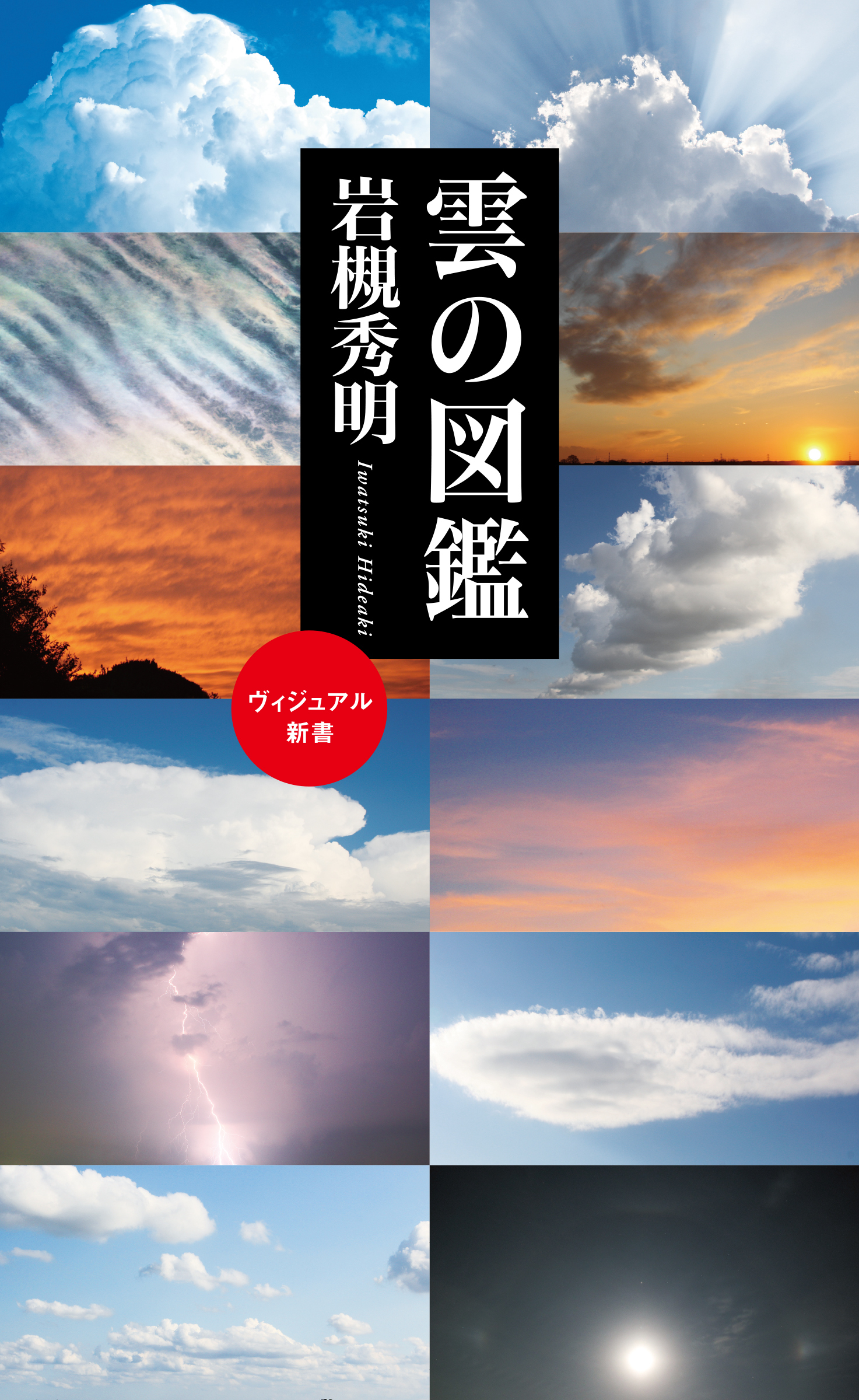 雲が絶対好きになる！雲の楽しみ方のススメ！【自由研究のヒント①】