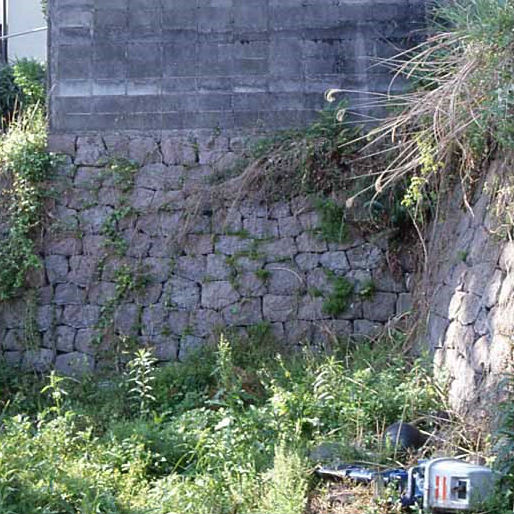 世田谷城の軍師殿