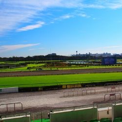 新型コロナ余波で無観客競馬が決定！ 専門紙に大打撃！再び大きな危機が迫る‼