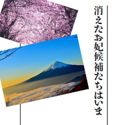 『消えたお妃候補たちはいま』から紐とく、天皇陛下の雅子さまへの想い―後編