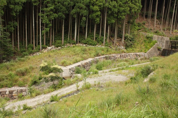 蒲生氏郷のふるさと・日野⑩鎌掛の山屋敷