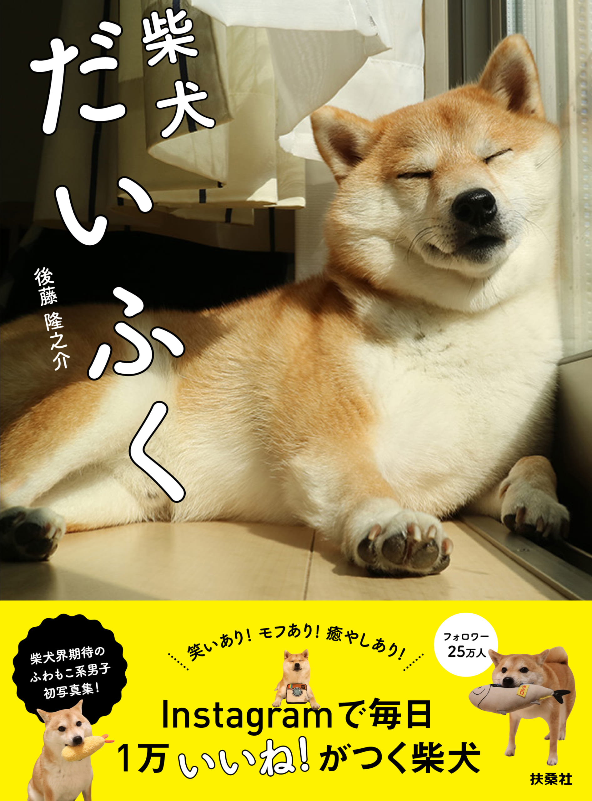 柴犬 だいふく