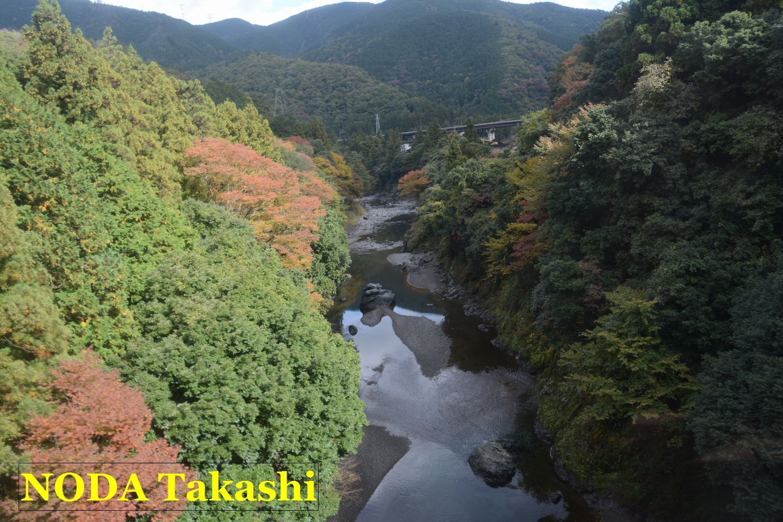 意外な絶景路線、樽見鉄道