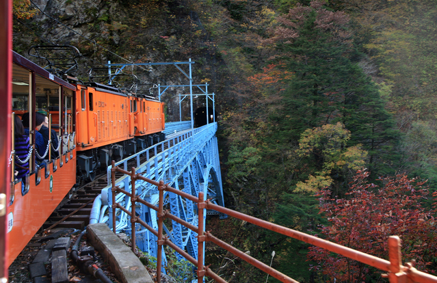 四季折々の景観を愉しむならこの列車