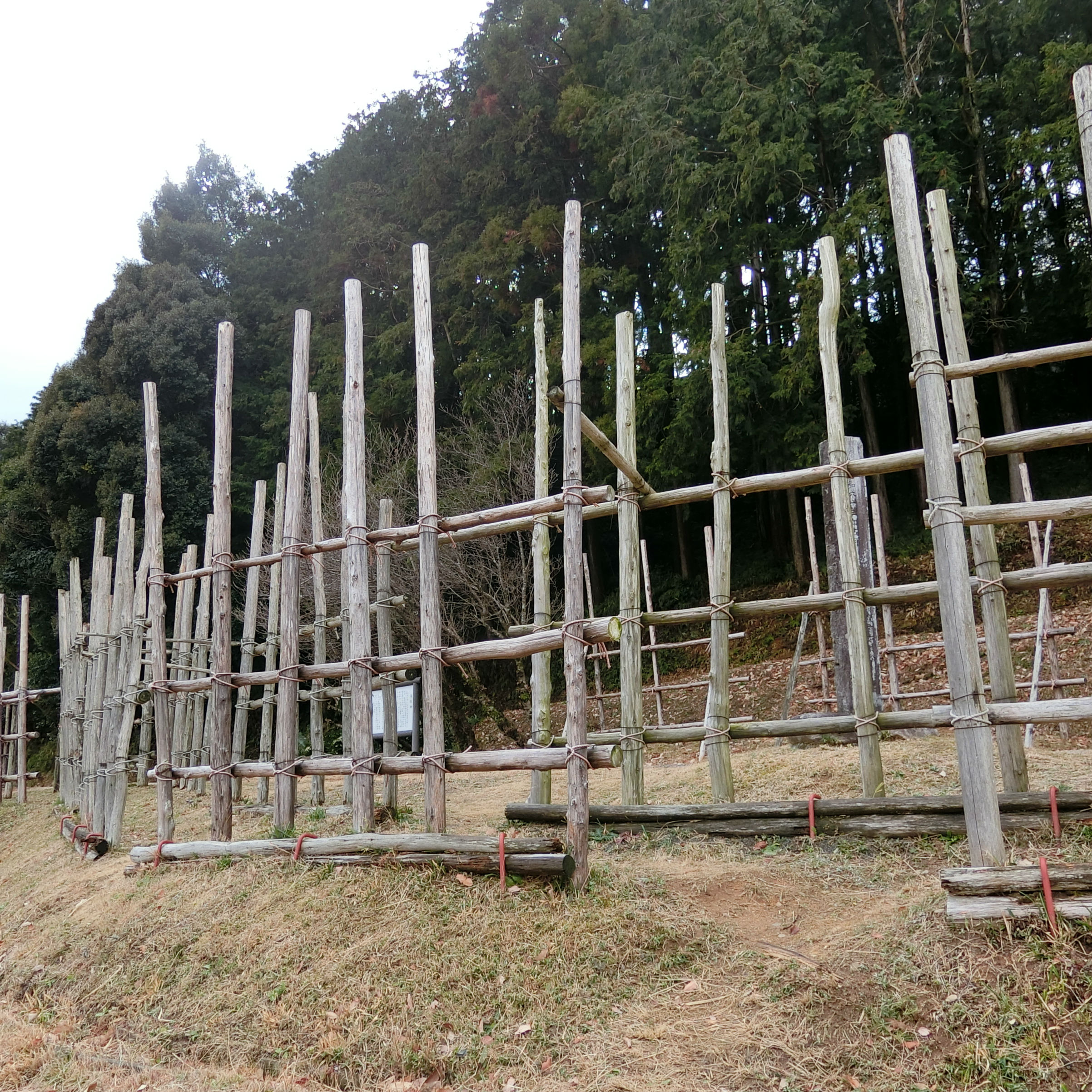 日本史の実行犯 ～あの方を斬ったの…それがしです～　武田四天王・山県昌景を狙撃した男