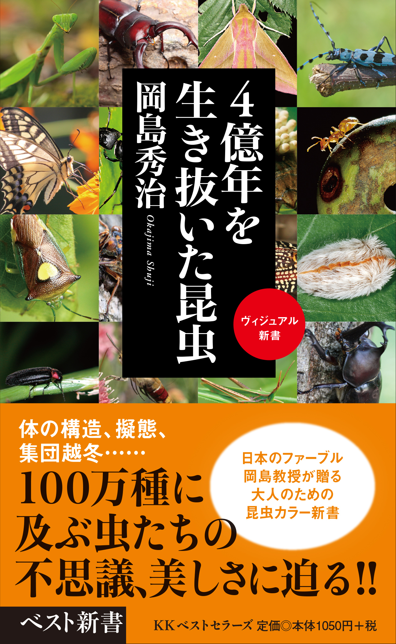 「４億年を生き抜いた昆虫」の著者、岡島秀治先生の講演会が行なわれます。