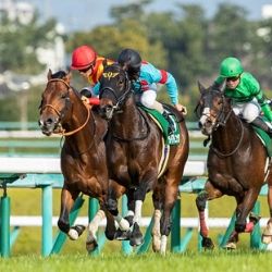 怒り！ 謝罪！ 騎手同士の生々しい声が無観客競馬場に響き渡る！