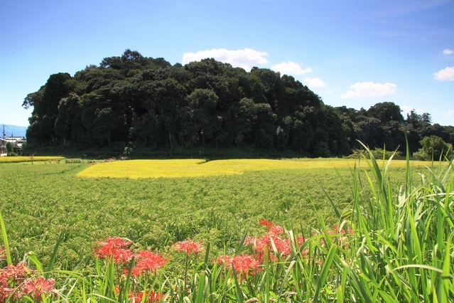 箸墓古墳の被葬者は誰なのか？