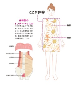 食べたいものを我慢したくない女子へ。「体幹」をやれ！