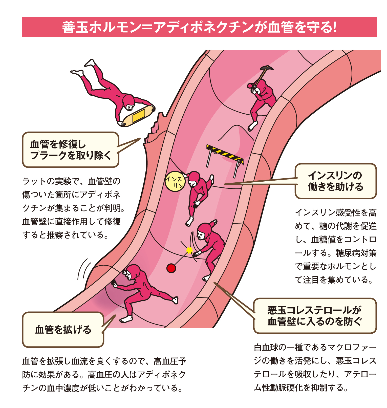 は 腹 式 呼吸 と