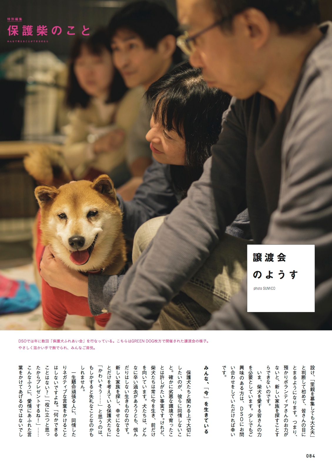柴犬ライフ Vol 2 冬号 Kkベストセラーズ 柴犬ライフ Vol 2 冬号 Kkベストセラーズ