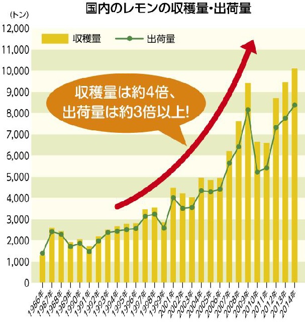 レモンは冬が旬 血圧 骨密度にも効果アリ Br Best Times ベストタイムズ