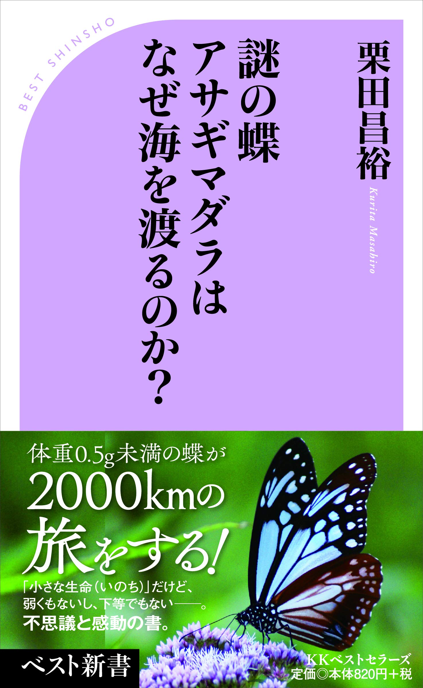 謎の蝶 アサギマダラはなぜ海を渡るのか?