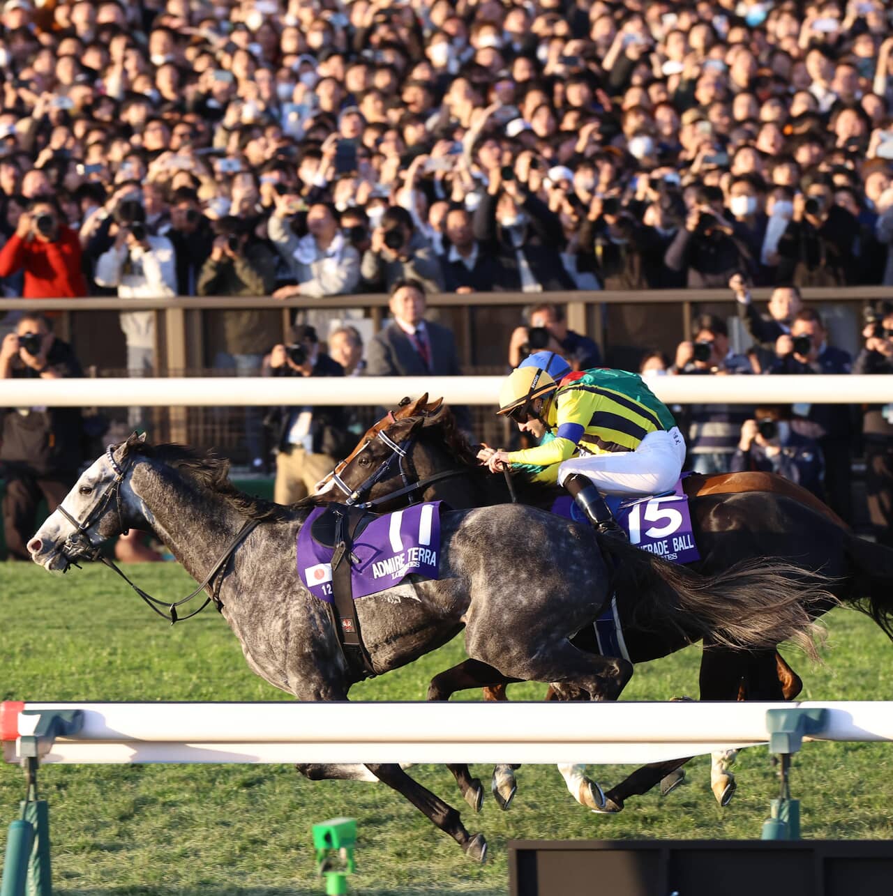 ジャパンカップ1着はカランダガン。1番人気のマスカレードボールは2着！騎手「能力があるから、次も楽しみ」